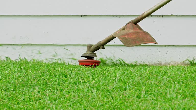 Lawn Maintenance Plans in North Fork, CA